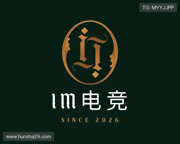 关于IM电竞